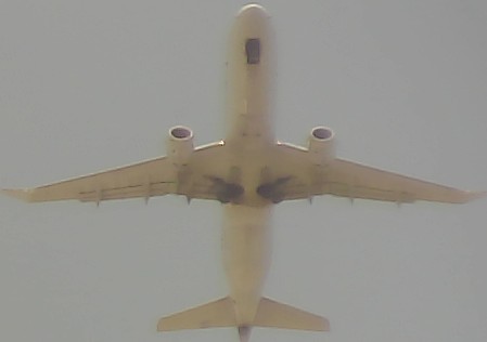 Airplane Picture