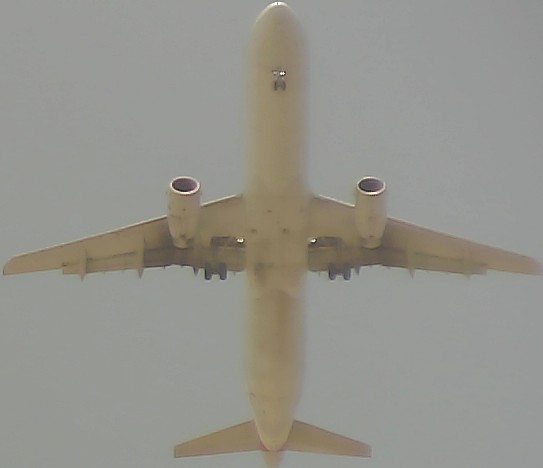 Airplane Picture