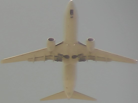 Airplane Picture
