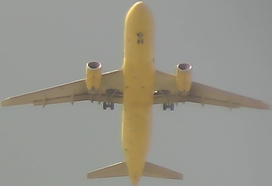 Airplane Picture