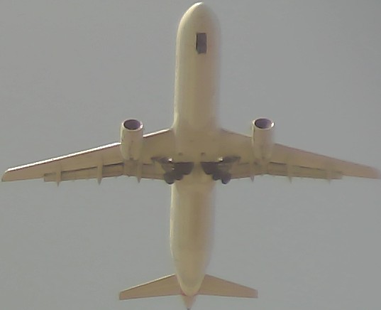 Airplane Picture