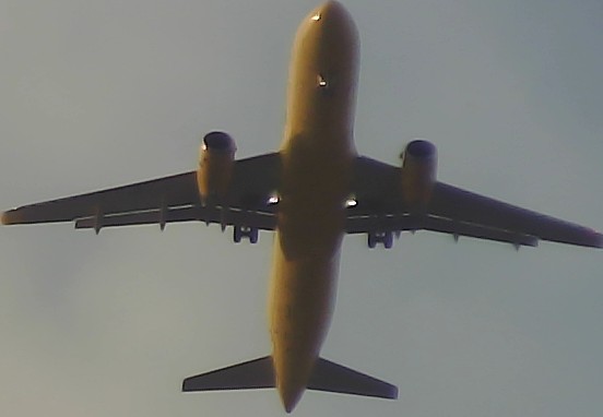 Airplane Picture