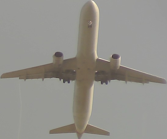 Airplane Picture