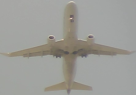 Airplane Picture