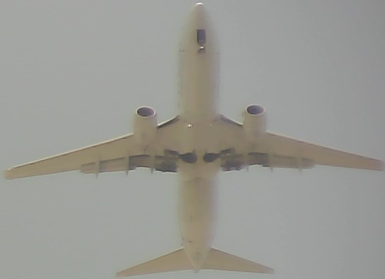 Airplane Picture