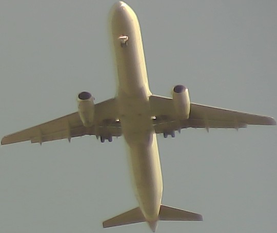 Airplane Picture