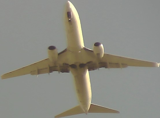 Airplane Picture