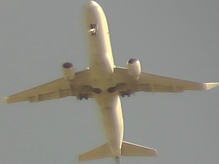 Airplane Picture