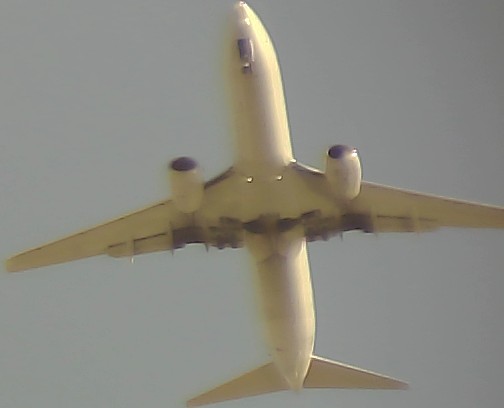 Airplane Picture