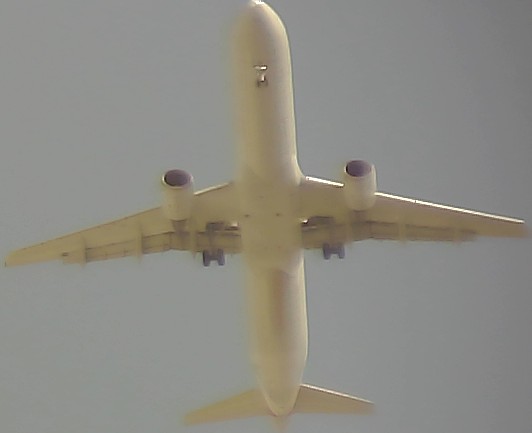 Airplane Picture