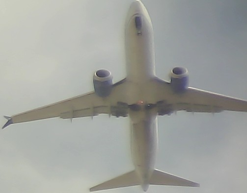 Airplane Picture
