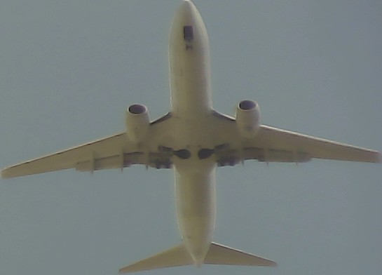Airplane Picture