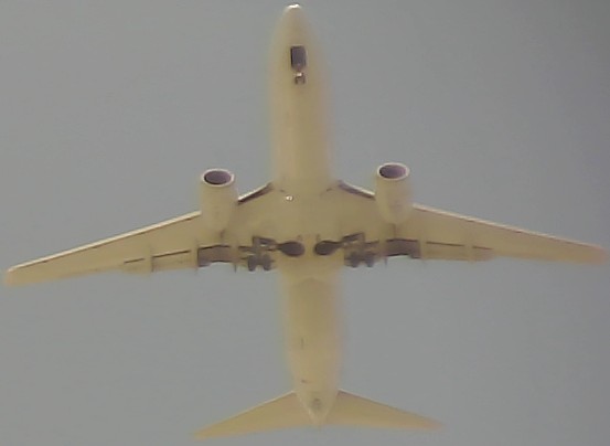 Airplane Picture