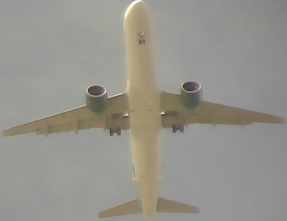 Airplane Picture
