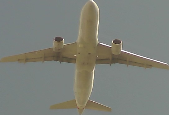 Airplane Picture
