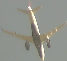 Airplane Picture