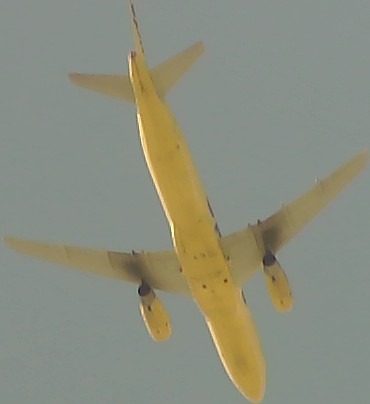 Airplane Picture
