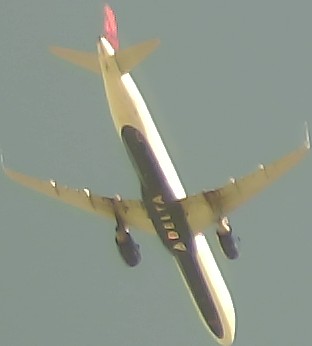 Airplane Picture