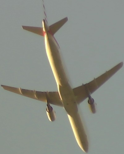 Airplane Picture