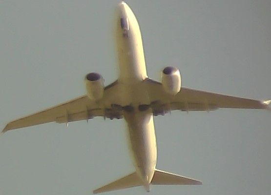 Airplane Picture