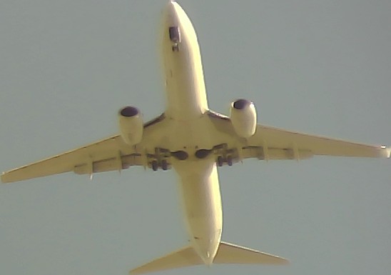 Airplane Picture