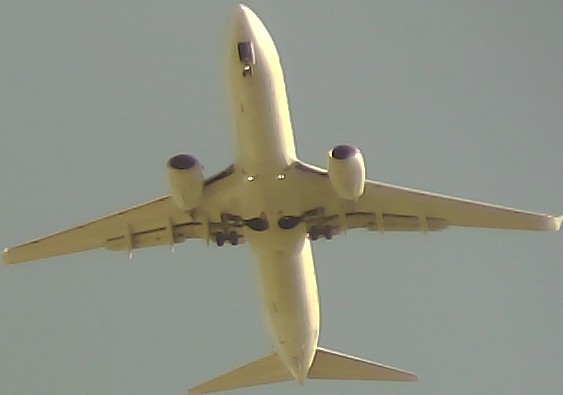 Airplane Picture