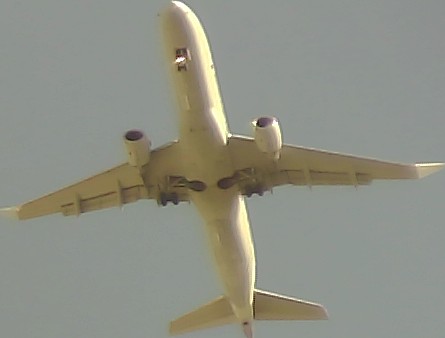 Airplane Picture