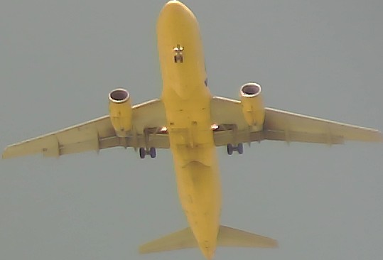 Airplane Picture