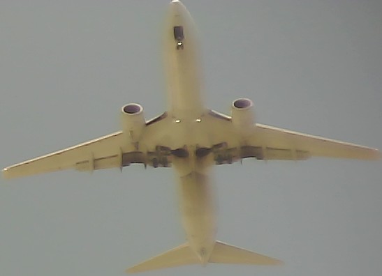 Airplane Picture