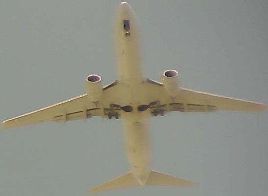 Airplane Picture