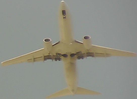 Airplane Picture