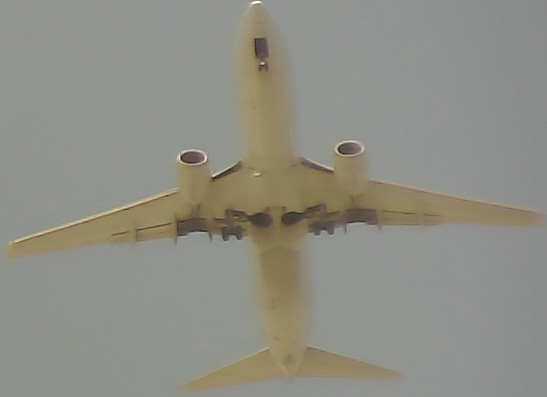 Airplane Picture