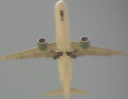 Airplane Picture