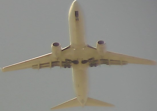 Airplane Picture