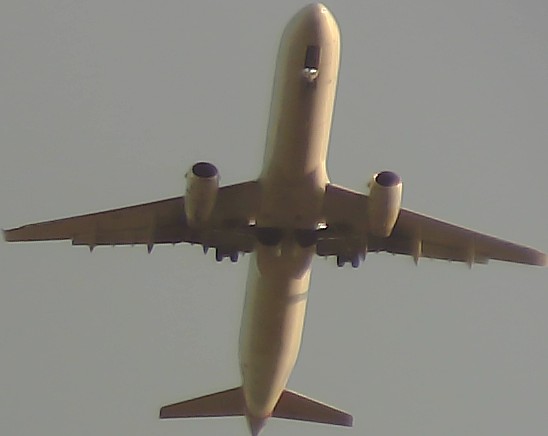 Airplane Picture