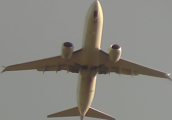 Airplane Picture