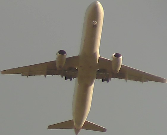 Airplane Picture