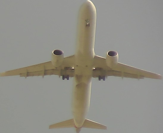 Airplane Picture