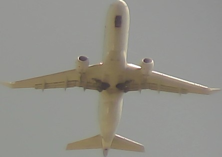 Airplane Picture
