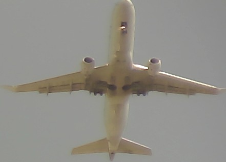 Airplane Picture