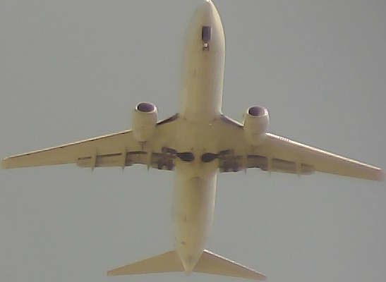 Airplane Picture