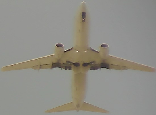 Airplane Picture