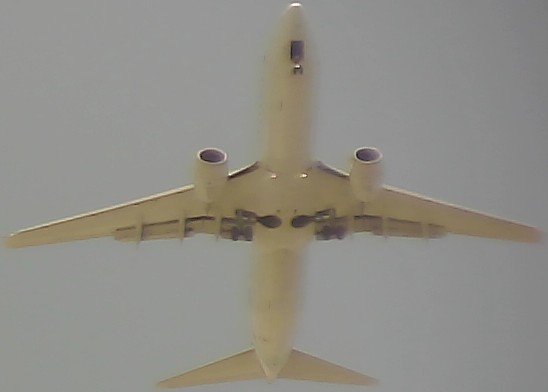 Airplane Picture