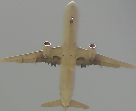 Airplane Picture