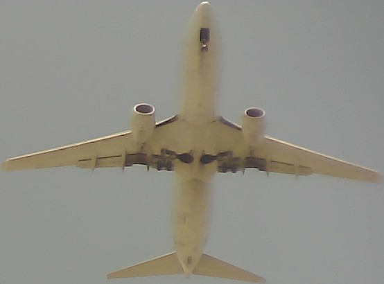 Airplane Picture