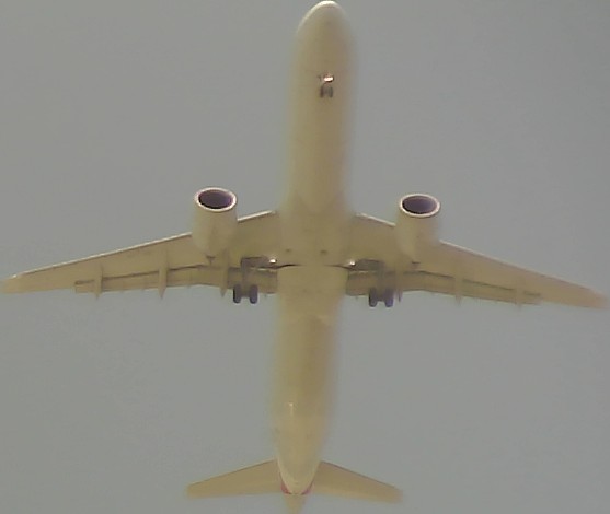Airplane Picture
