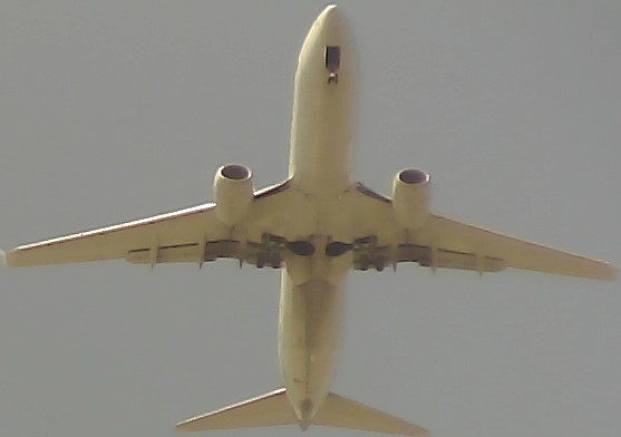 Airplane Picture