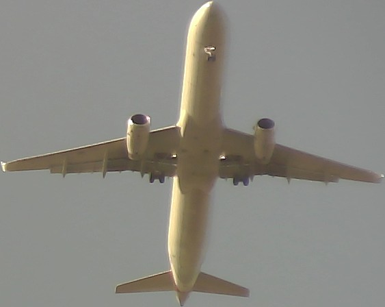 Airplane Picture