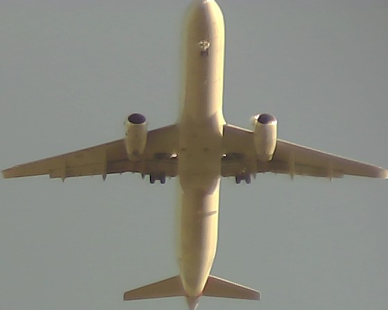 Airplane Picture