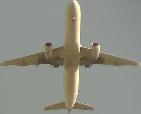 Airplane Picture